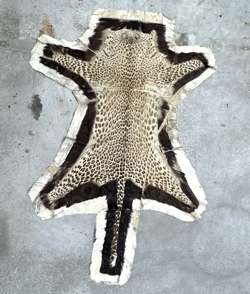 Antique Big Cat Pelt Rug Image 1++