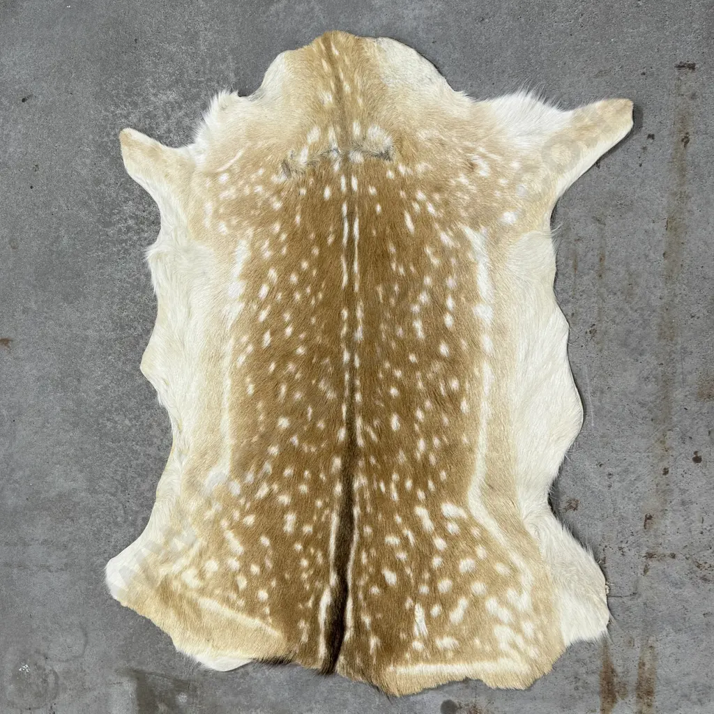 Spotted Fallow Deer Hide Rug Image 1++