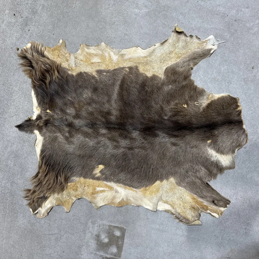 Tanned Goat Hide Image 1++