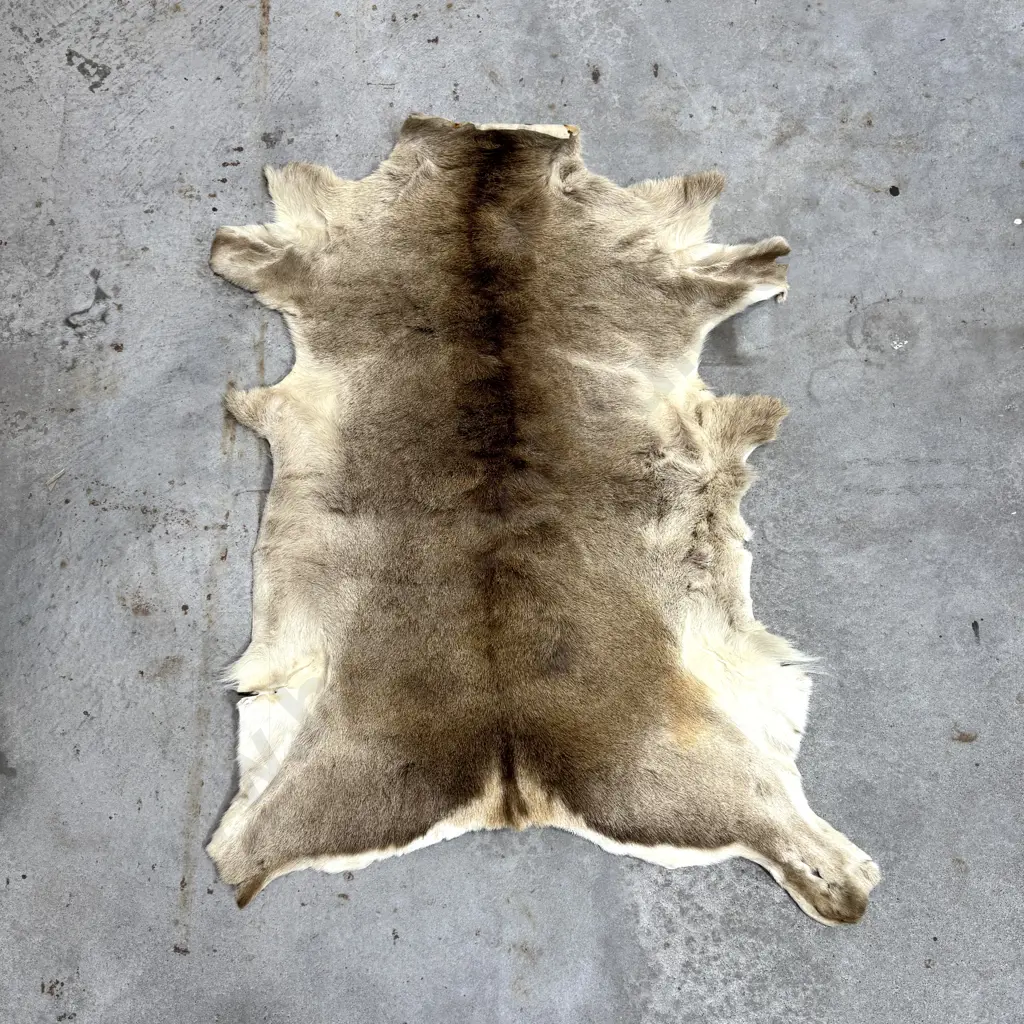 Speckled Cream Reindeer Rug Image 1++