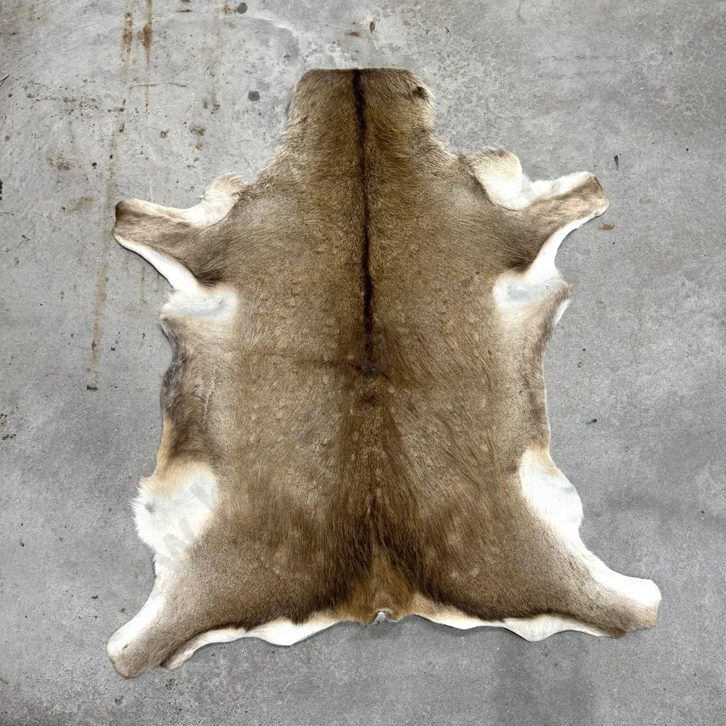 Tanned Deerskin Rug Image 1++