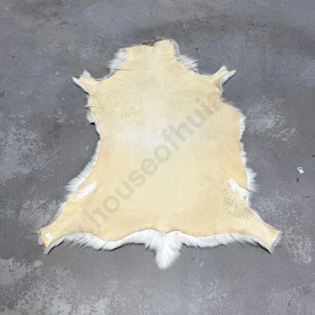 Natural Reindeer Hide Rug Image 1++