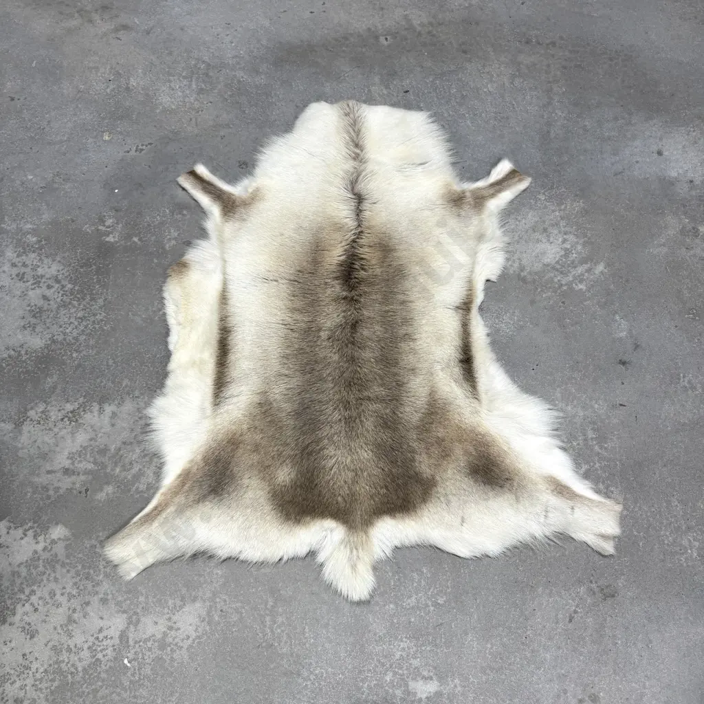 Natural Reindeer Hide Rug Image 1++