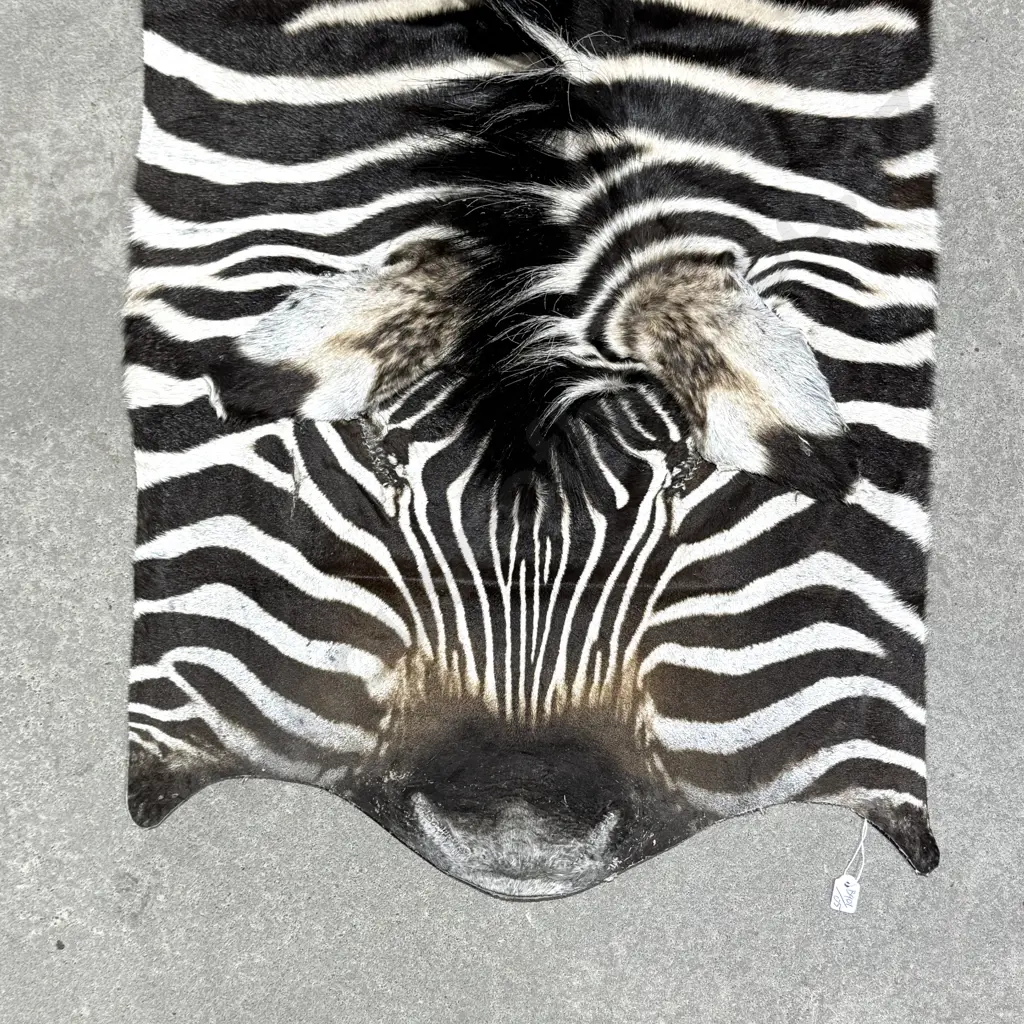 Zebra Hide Floor Rug Image 1++