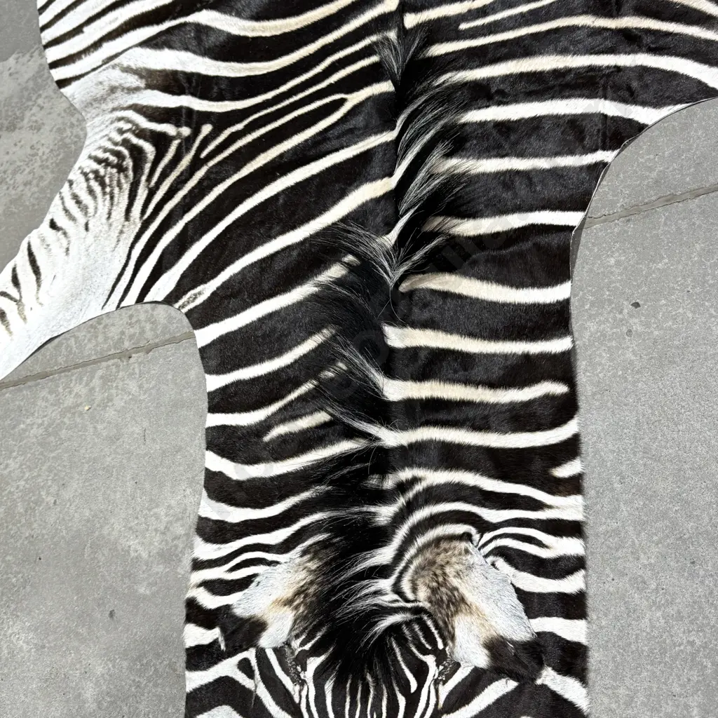 Zebra Hide Floor Rug Image 1++