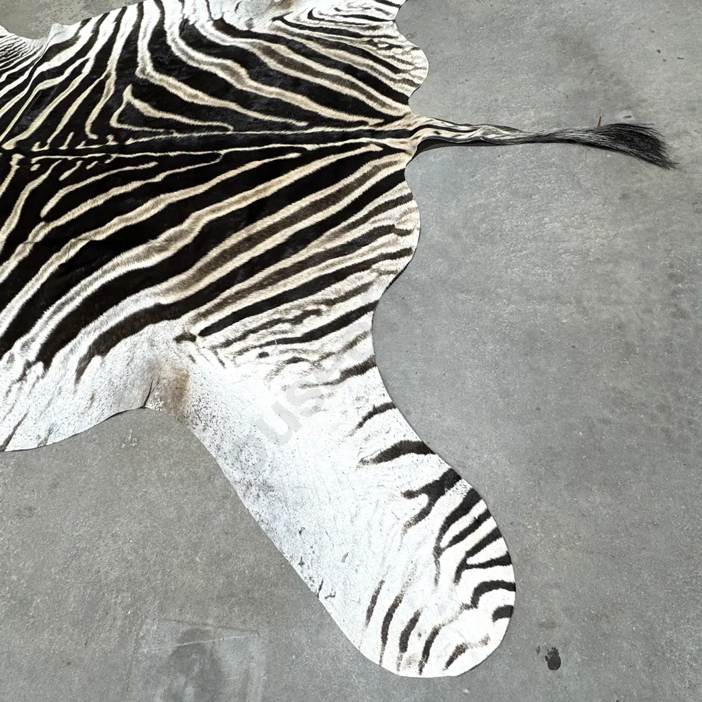 Zebra Hide Floor Rug Image 1++