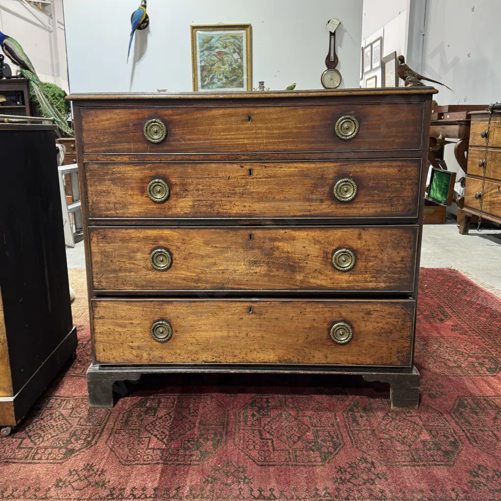 Antique Mahogany Chest of Four Long Drawers  w Circular Brass Drop Handles Image 1++