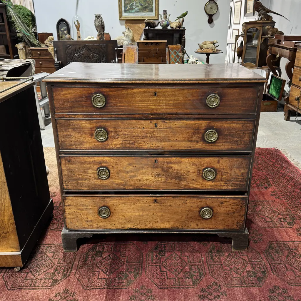 Antique Mahogany Chest of Four Long Drawers  w Circular Brass Drop Handles Image 1++
