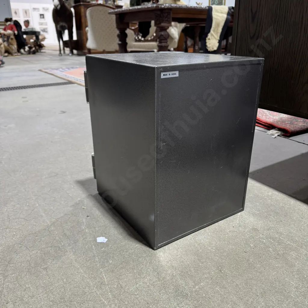 Safeguard SD 101T Safe Image 1++