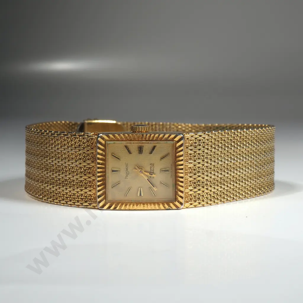 Vintage Progress Automatic Ladies Wrist Watch Image 1++