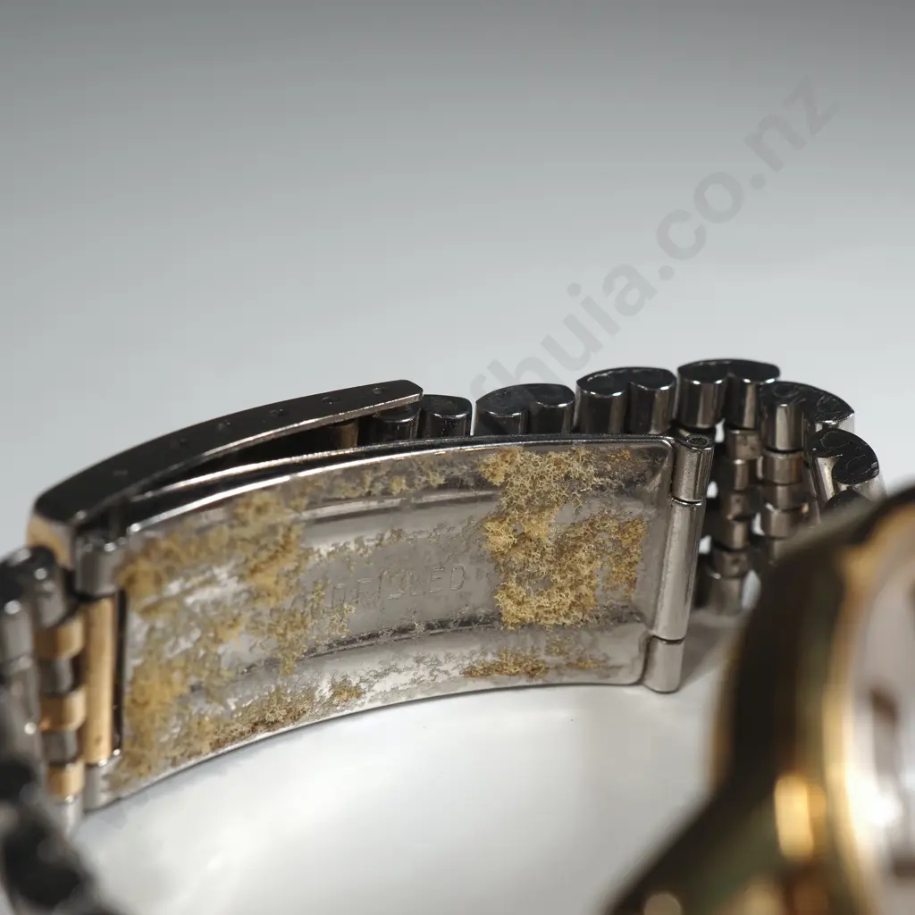 Seiko Automatic Sea Horse Wristwatch Image 1++