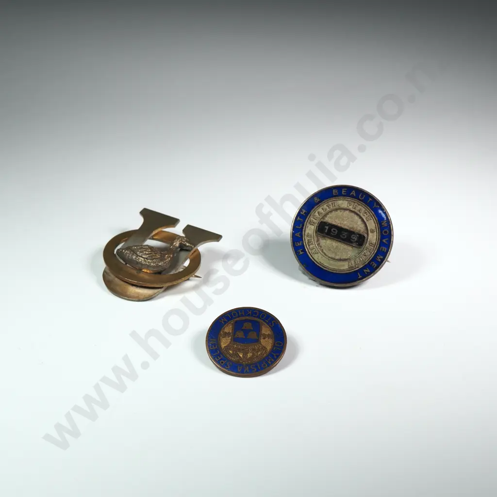 Lot of Three Interesting Badges Image 1++