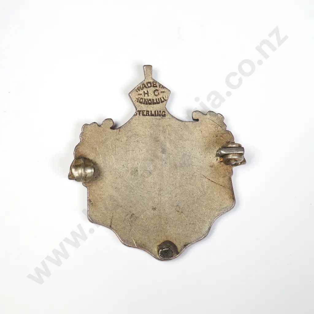 Sterling Silver Enamel Hawain Coin Conversion Brooch Image 1++