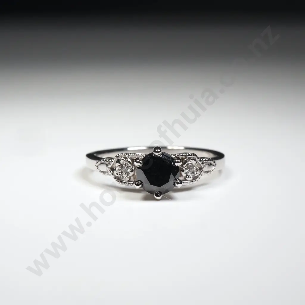 Meadowlark 18ct White Gold Eternal Ring w .5 Carat Black Diamond Image 1++