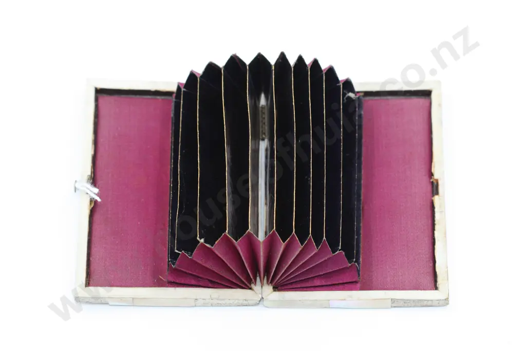 Victorian Card Carrying Case in Mother of Pearl  Image 1++