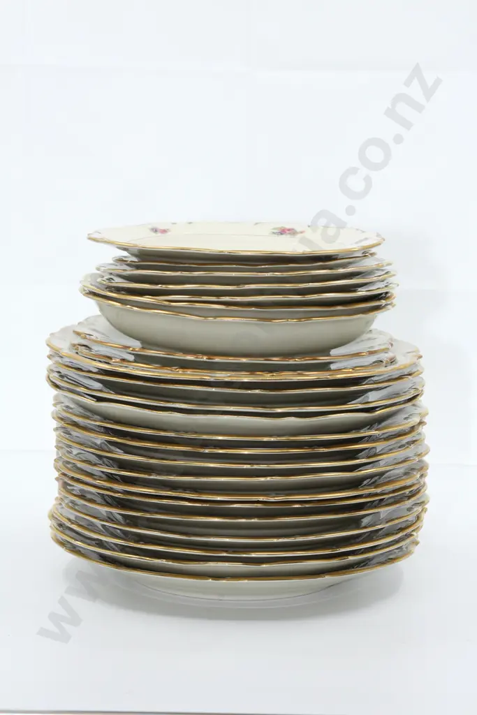 Extras of Schlottenkof Bavarian China  Image 1++