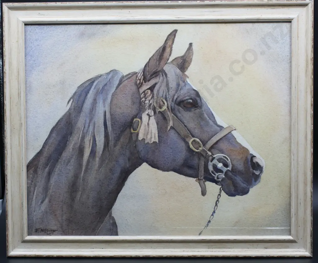 Watercolour of Horse Image 1++