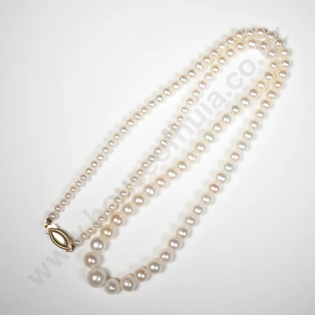 14ct Gold Clasp Pearl Necklace Image 1++
