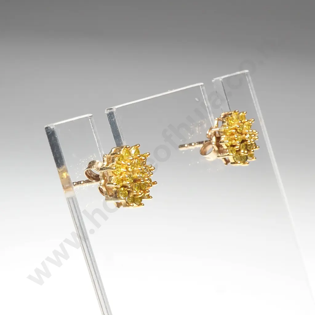 9ct Gold Round Earrings w Yellow Diamonds Image 1++