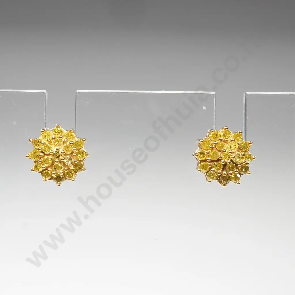 9ct Gold Round Earrings w Yellow Diamonds Image 1++