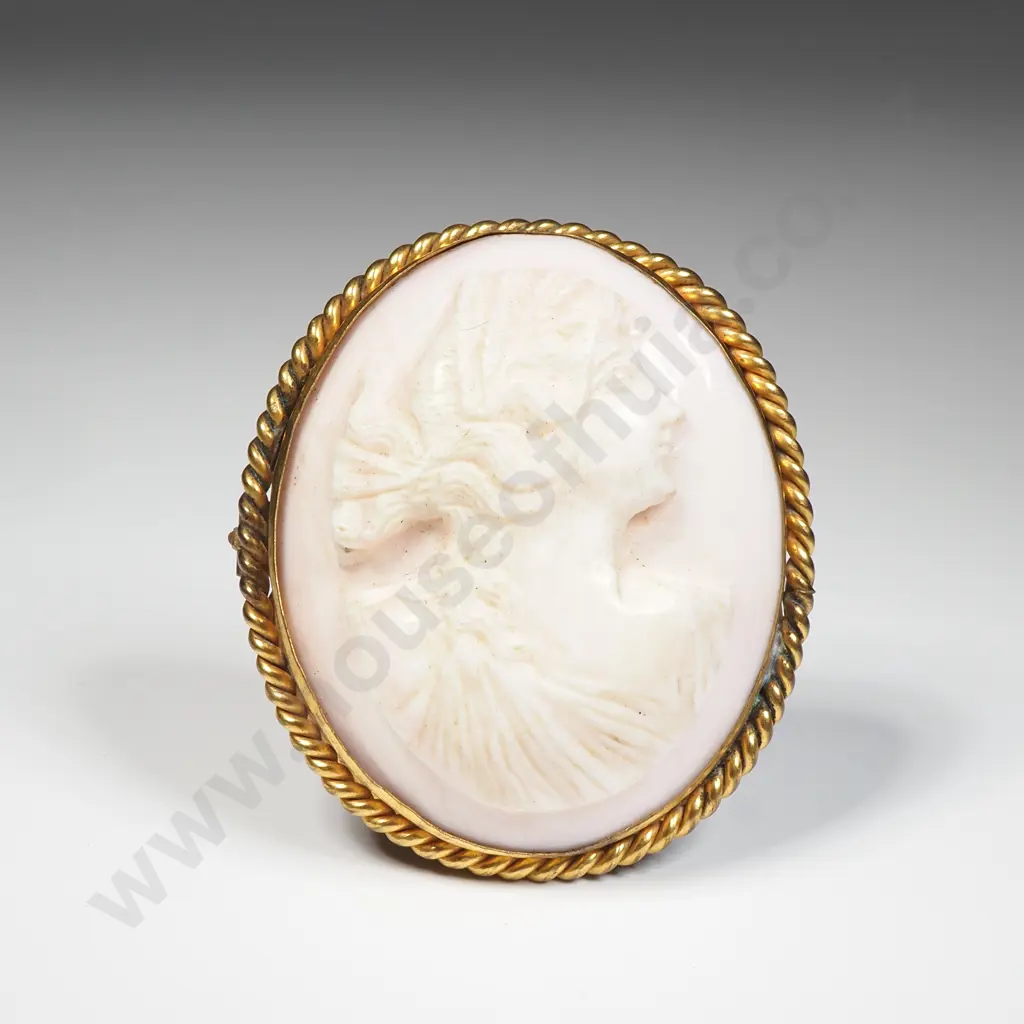 Rolled Gold Cameo Brooch Image 1++