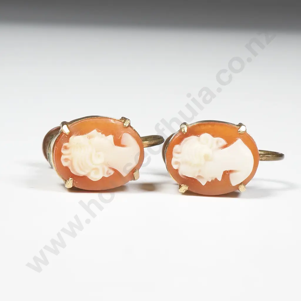 Pair of RG Cameo Earrings Image 1++