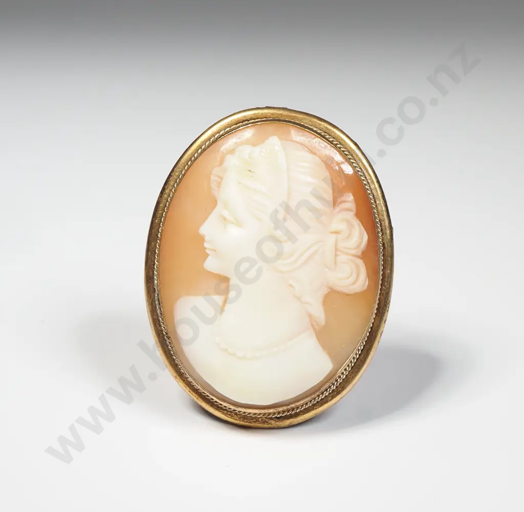 .800 Silver Gilt Cameo Brooch Image 1++