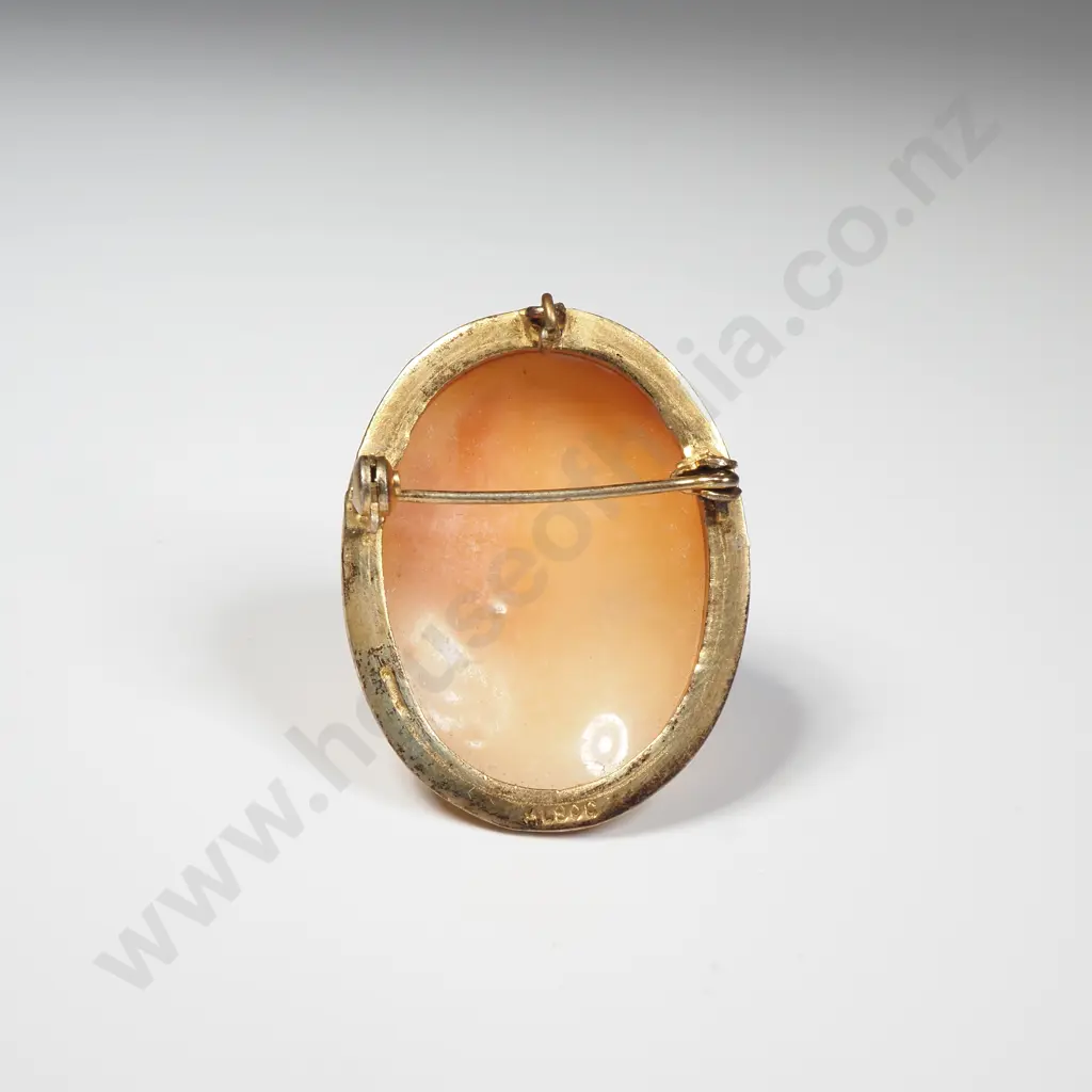 .800 Silver Gilt Cameo Brooch Image 1++