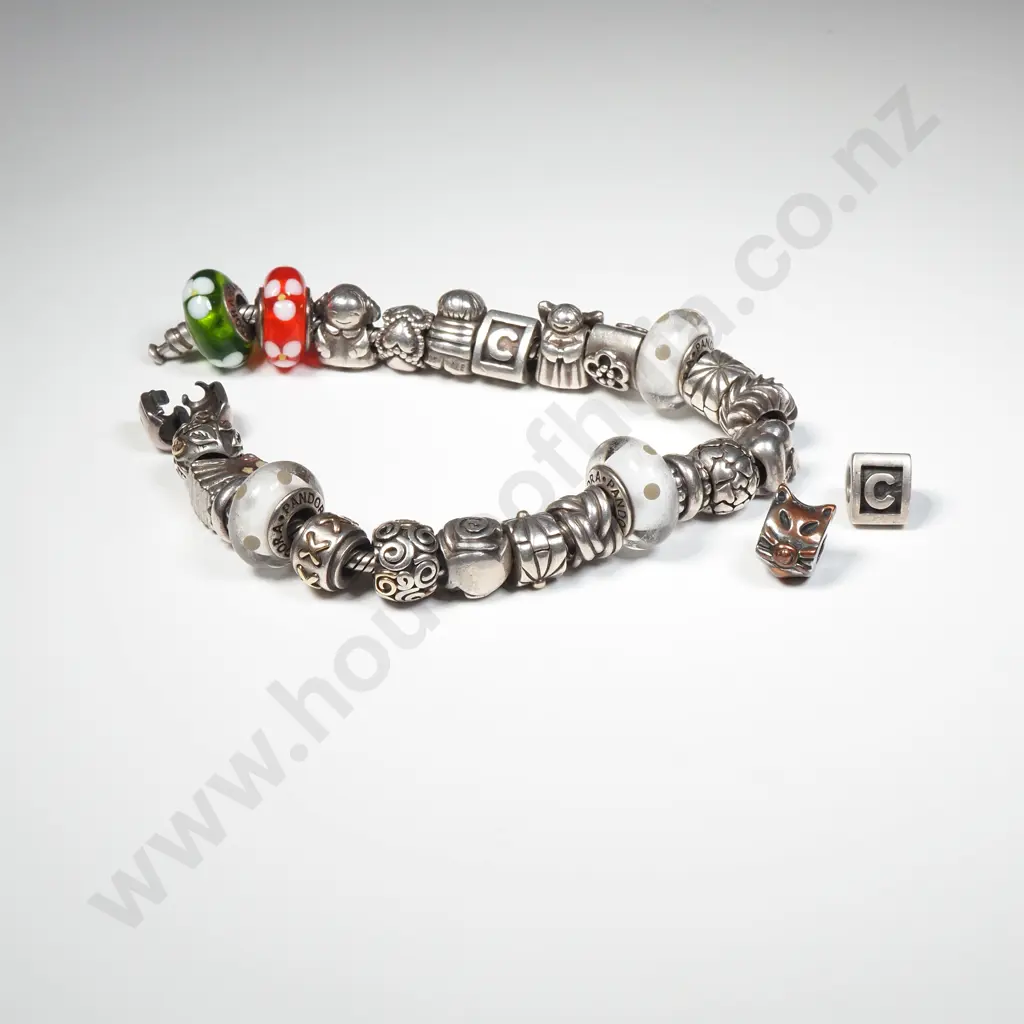 Sterling Silver Complete Pandora Charm Bracelet w Two Extra Charms Image 1++