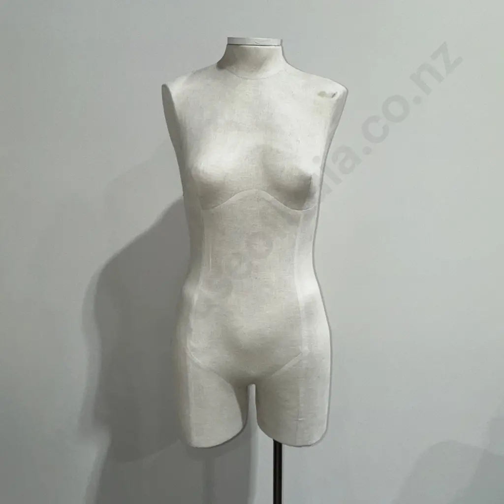 Female  Torso Mannequin on Single Pole Stand (Adjustable) Image 1++