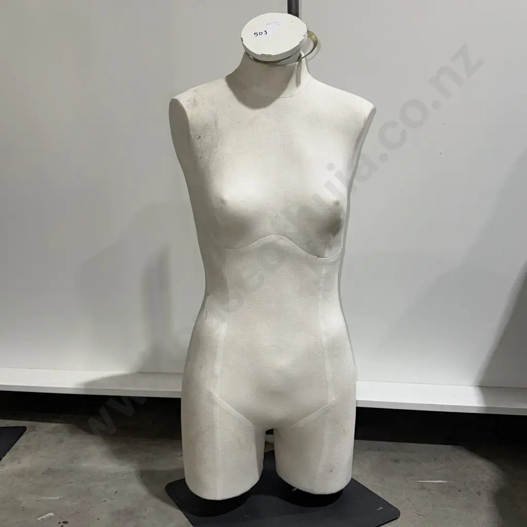 Female  Torso Mannequin on Single Pole Stand (Adjustable) Image 1++