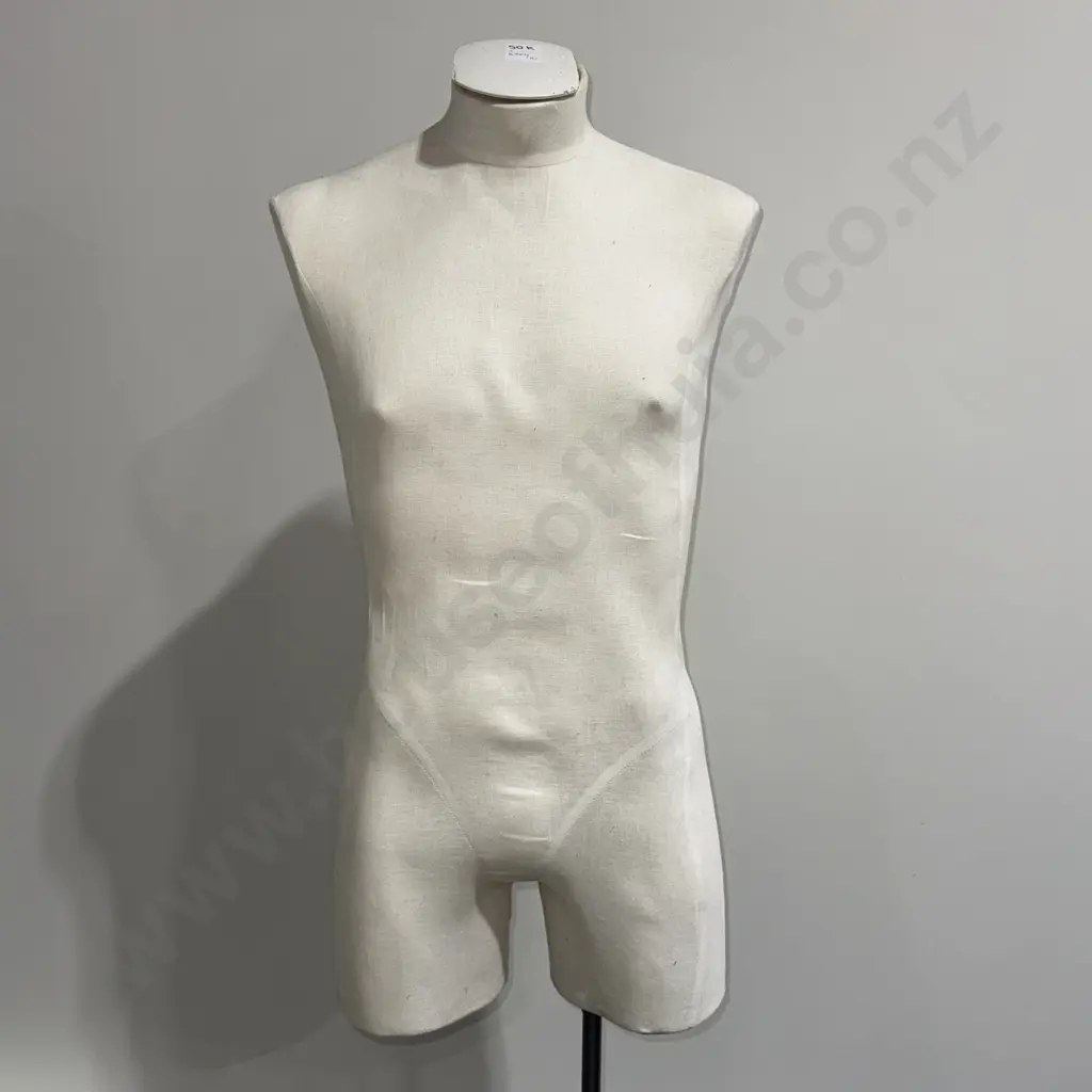 Male Torso Mannequin on Single Pole Stand (Adjustable) Image 1++