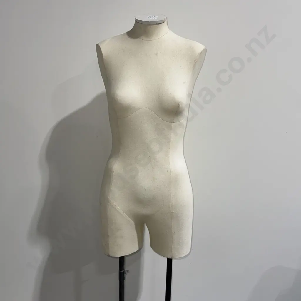 Female Torso Mannequin on Double Pole (Adjustable) Image 1++
