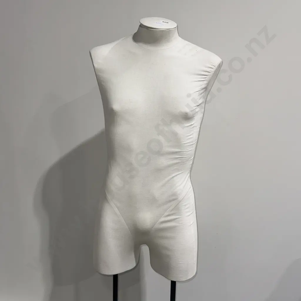 Male Torso  Mannequin on Double Pole Stand (Adjustable) Image 1++