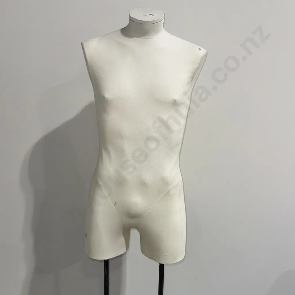 Male Torso Mannequin on Double Pole Stand (Adjustable) Image 1++