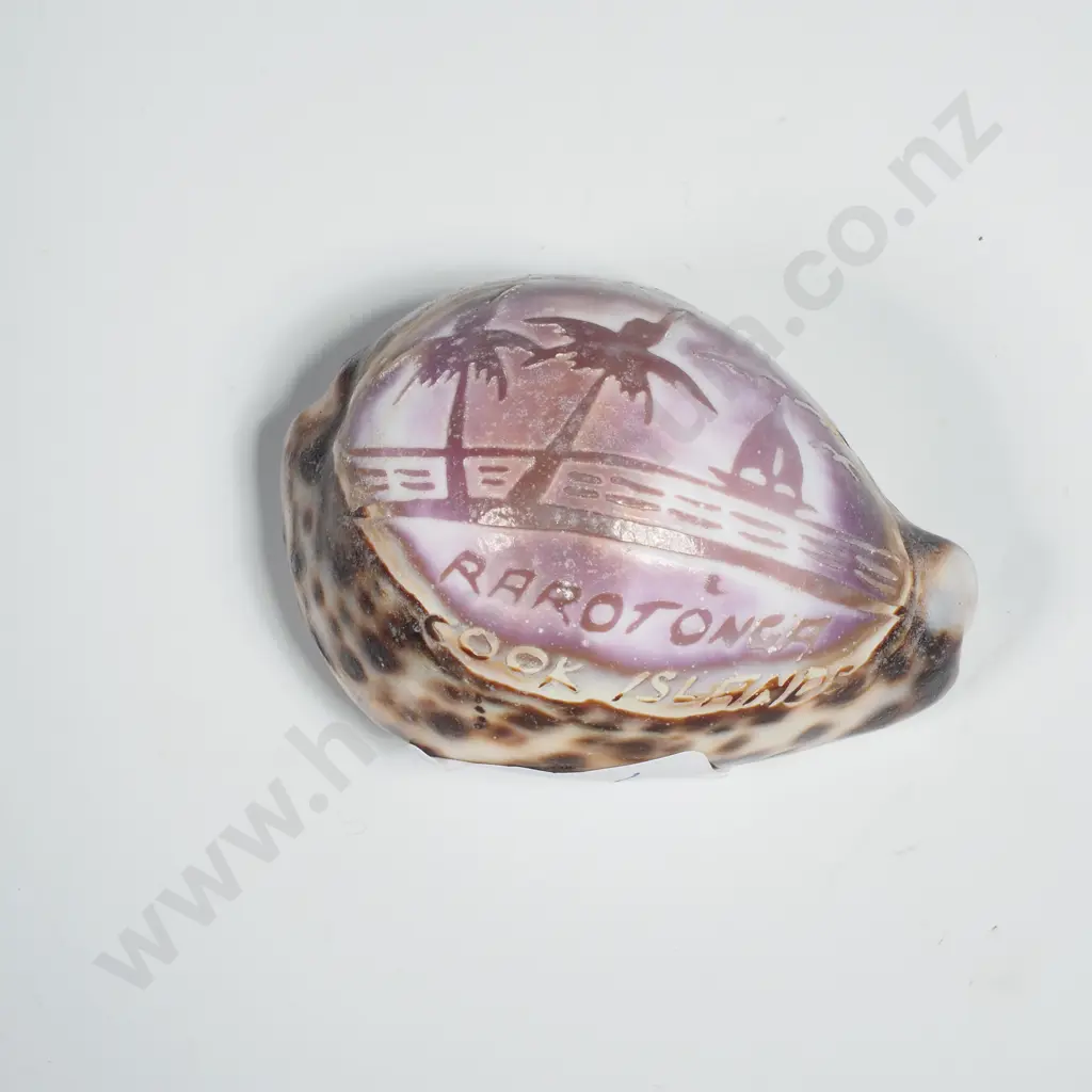 Carved Souvenir Cowrie Shell - Rarotonga, Cook Islands Image 1++