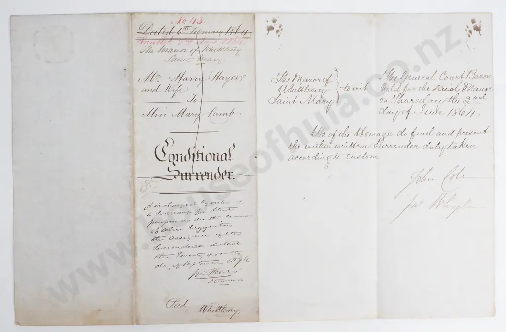 Surrender - County of Norfolk - 1864 Image 1++