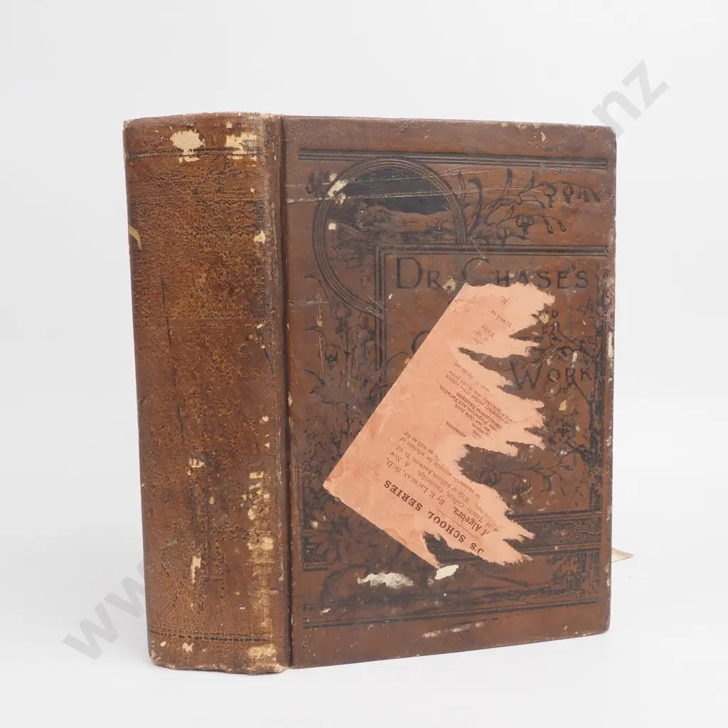 Dr. Chase's Receipt Book and Household Physician or Practical Knowledge for the People By A. W. Chase M.D. Image 1++