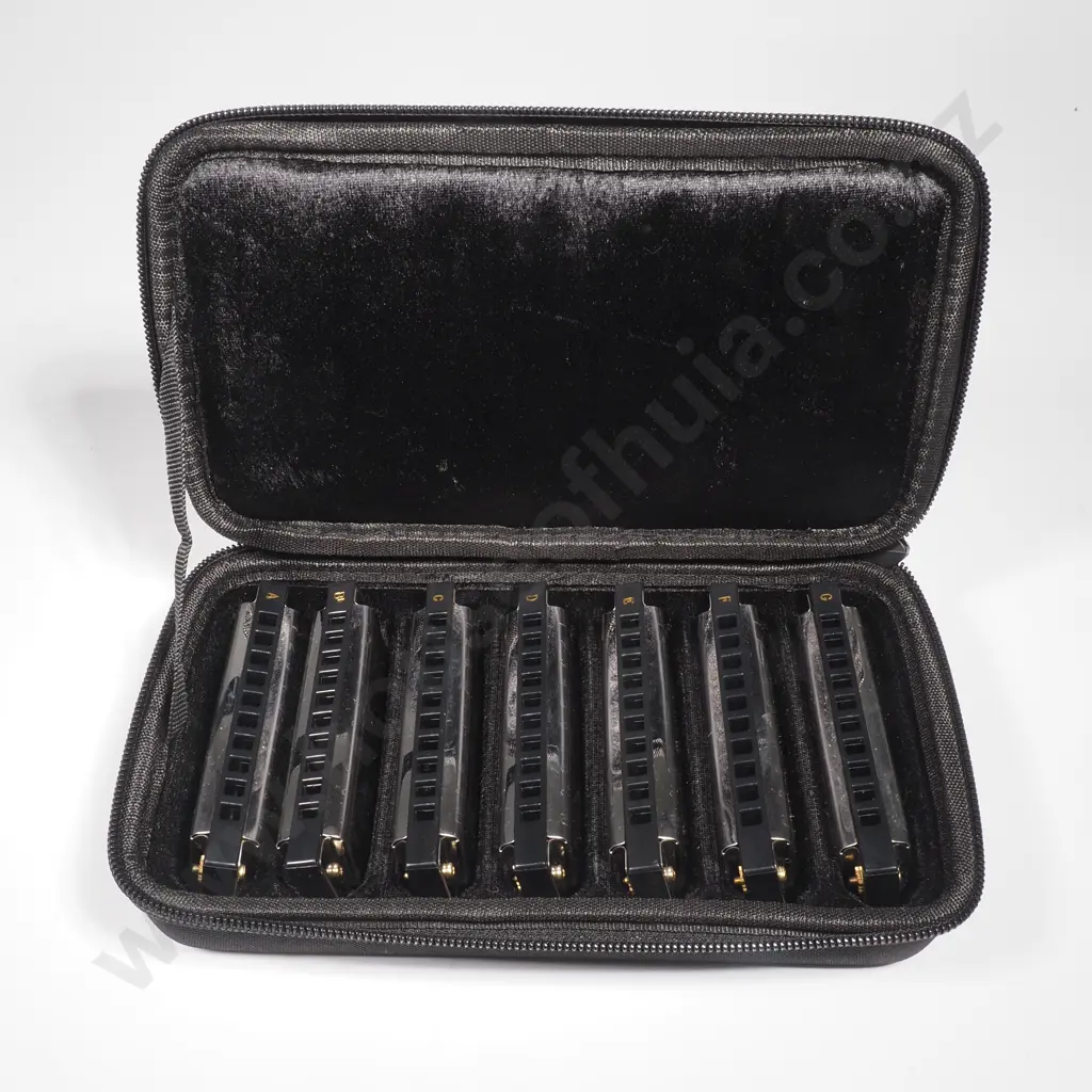 Hohner Case w Seven Harmonicas Image 1++