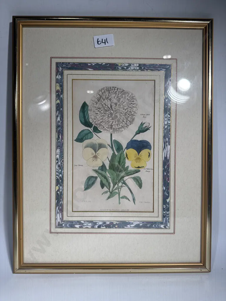 Framed Antique Botanical Engraving of Pansies & a Rose from the Floricultural Cabinet & Florist's Magazine, 1834 Image 1++