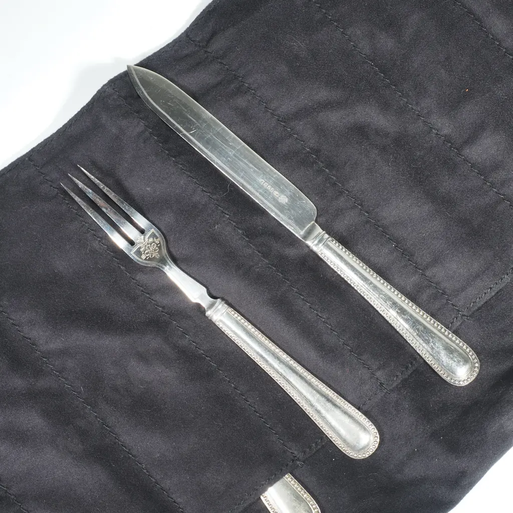Set of Nine High Quality S/P Cutlery in Quality Carry Bag  Image 1++