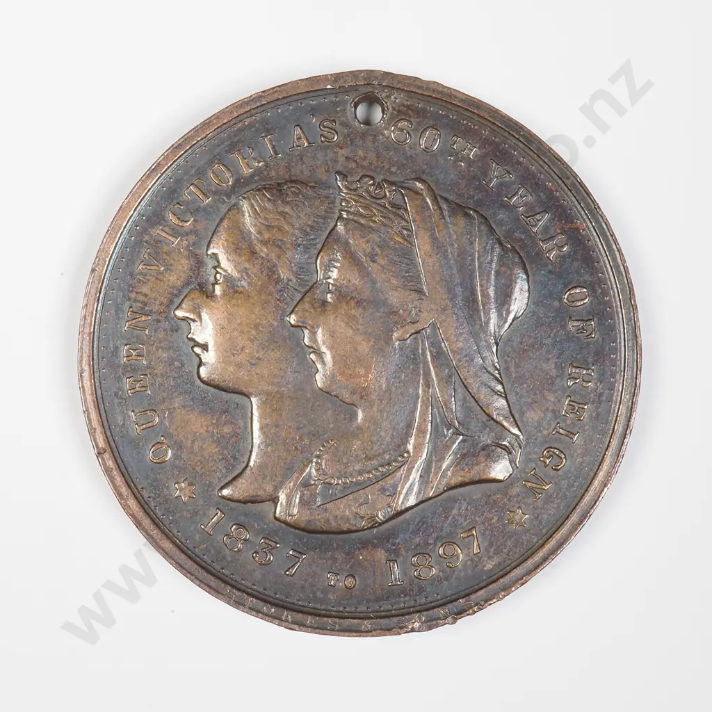 1837-1897 Nelson Celebrations. Queen Victoria 60 Years of Reign medallion Image 1++