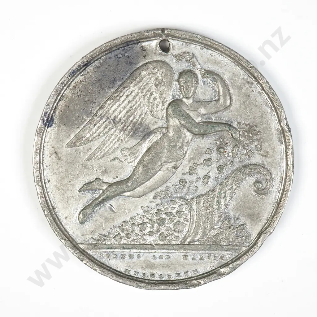 NZ 1882 New Zealand International Exhibition Medallion Image 1++