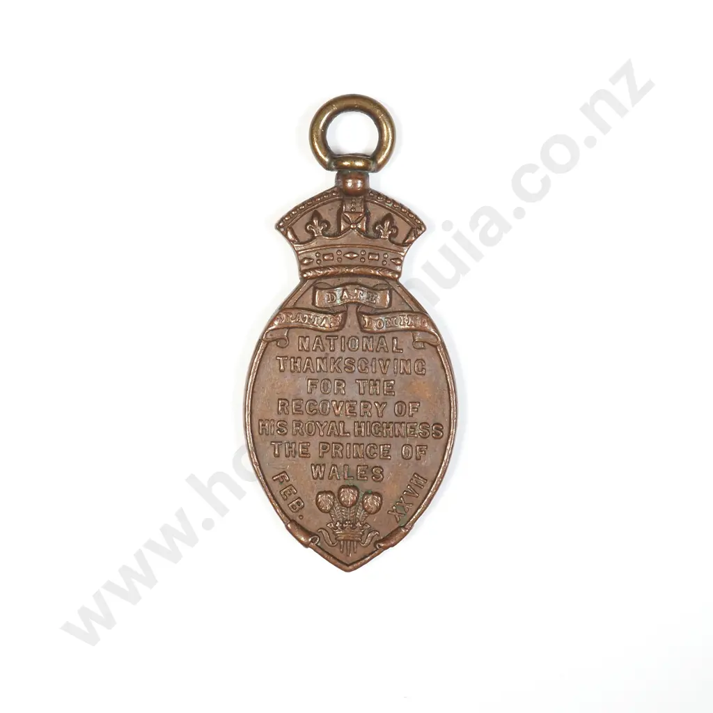 NZ 1872 National Thanksgiving for the Recovery of HRH The Prince of Wales Medallion Image 1++