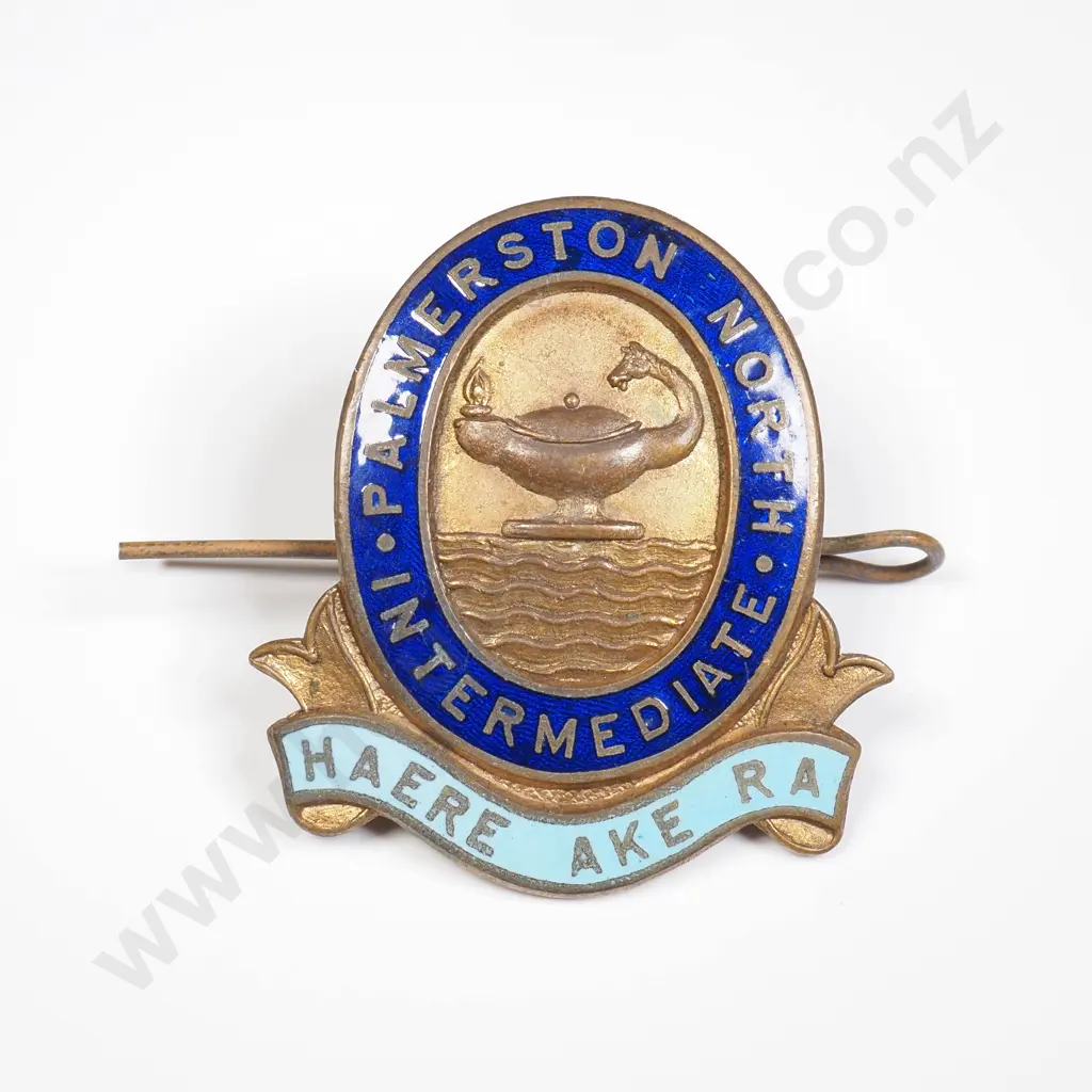 Palmerston North Intermediate brooch badge Image 1++