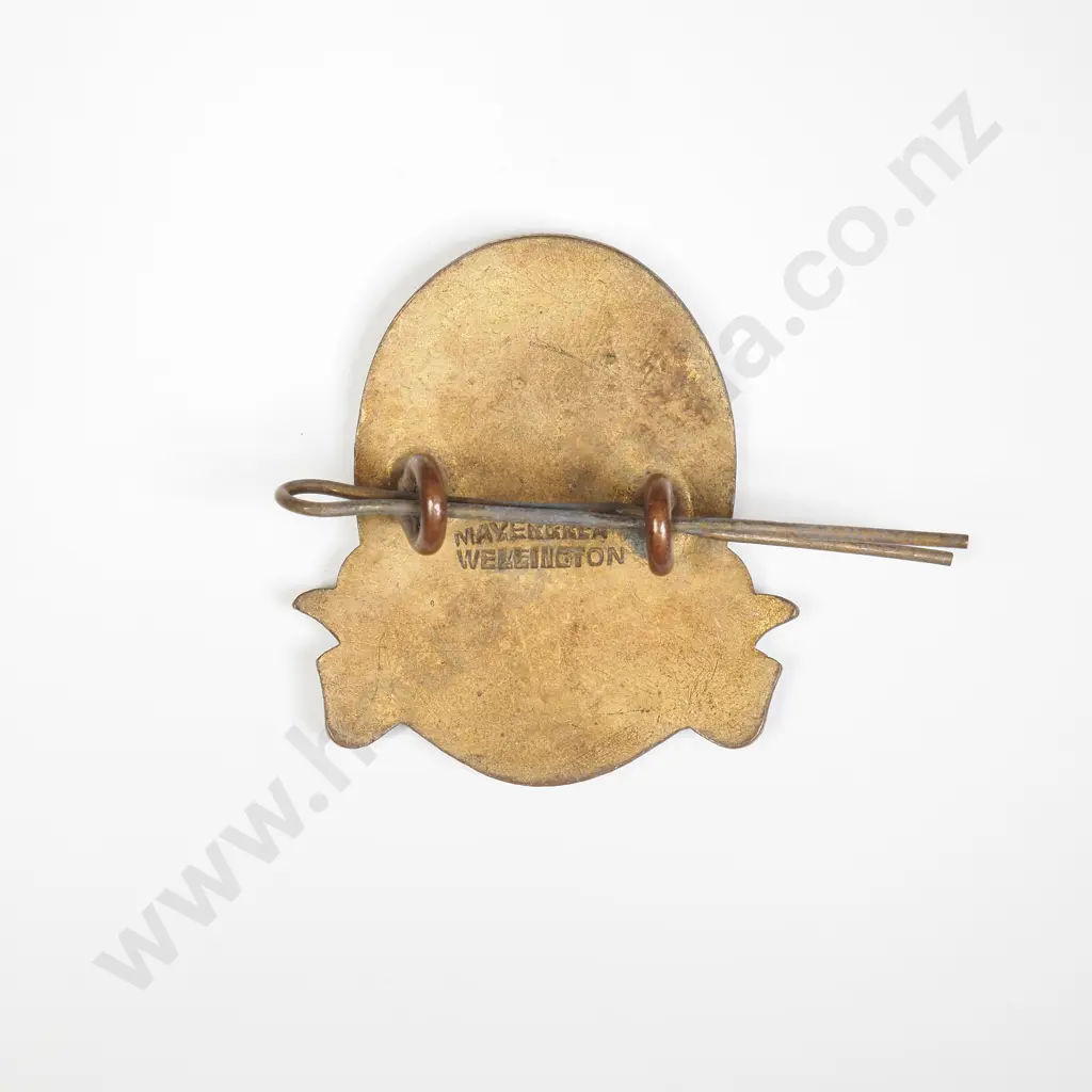 Palmerston North Intermediate brooch badge Image 1++