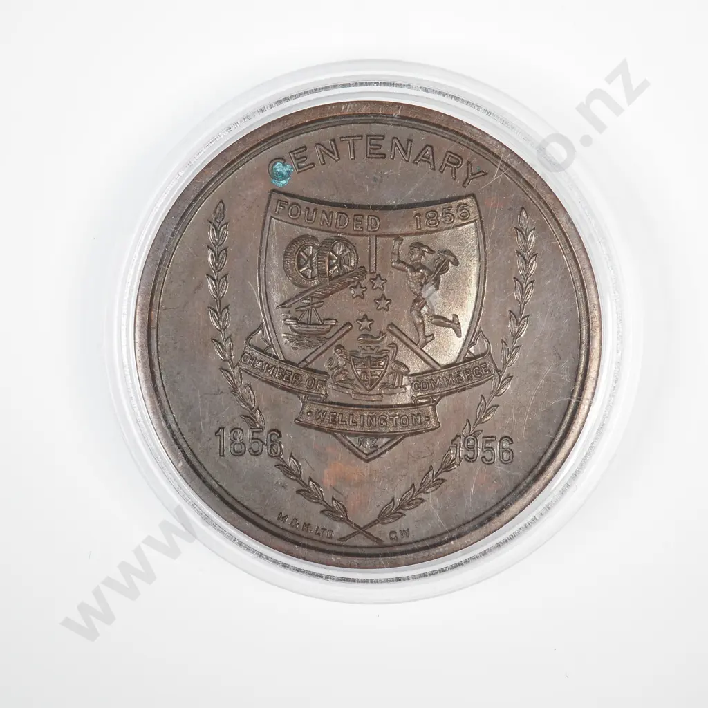 1956 Wellington Plimmers Noahs Ark Commemorative Medallion Image 1++
