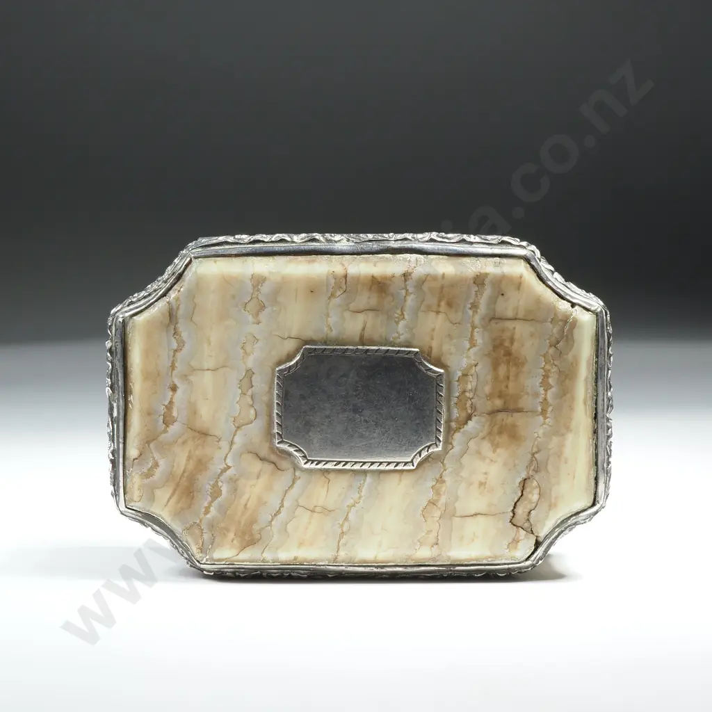 Antique Sterling Silver, Tortoiseshell and Agate Snuff Box Image 1++