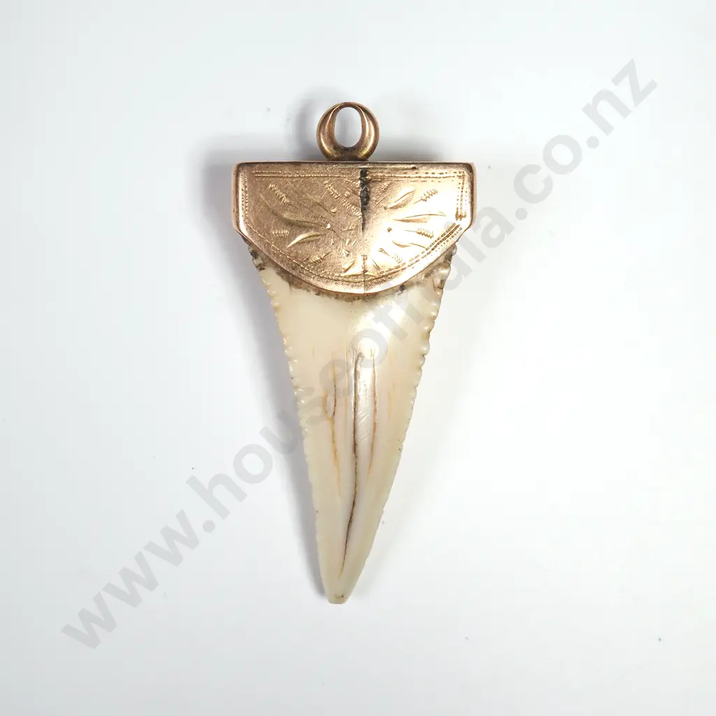 Colonial 15ct Gold Capped Sharks Tooth Pendant Image 1++