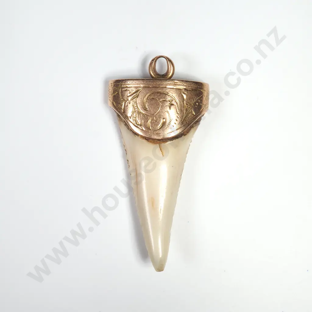 Colonial 15ct Gold Capped Sharks Tooth Pendant Image 1++